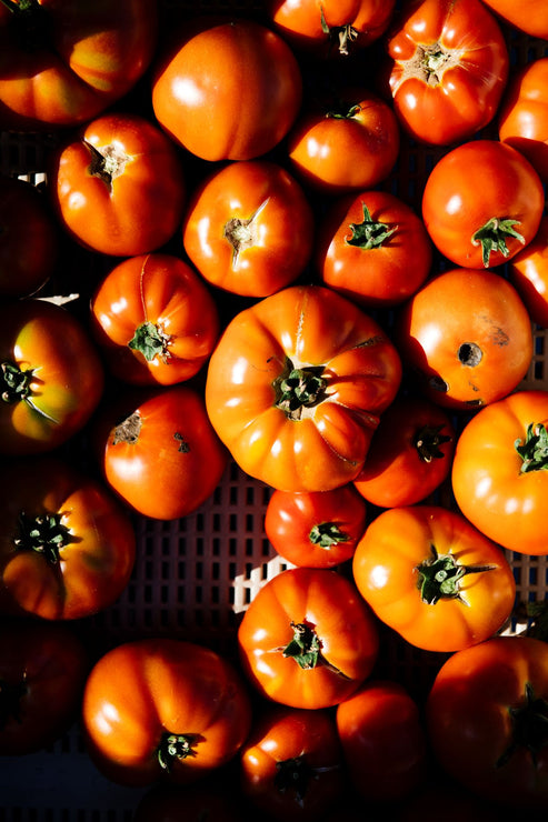 Load image into Gallery viewer, freshly picked tomatoes
