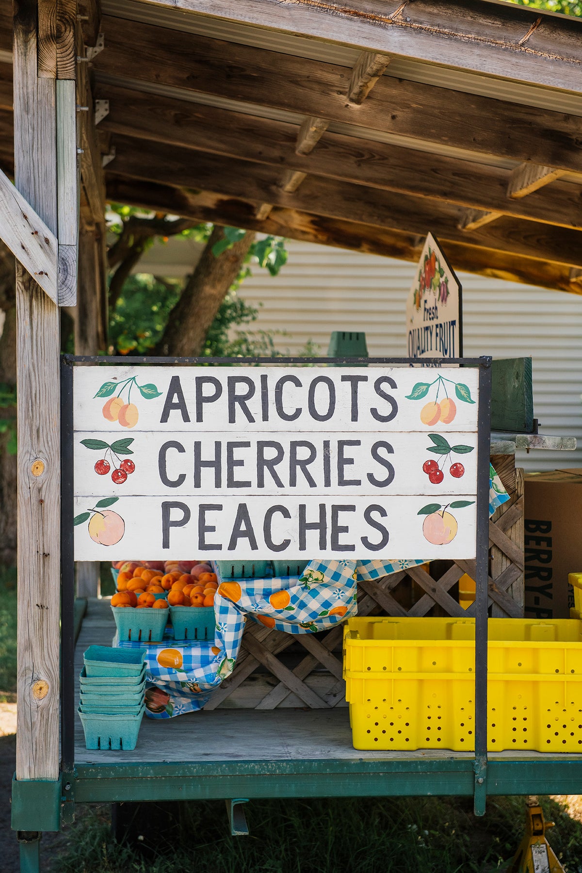 a sign at the farmers market reading "apricots, cherries, peaches" 