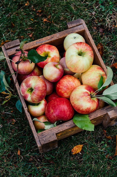 Load image into Gallery viewer, Wooden crate filled with red and green apples on grass
