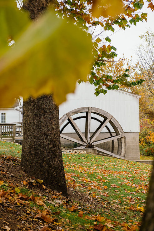 Load image into Gallery viewer, Wooden water wheel in a park with autumn leaves and a white building in the background.

