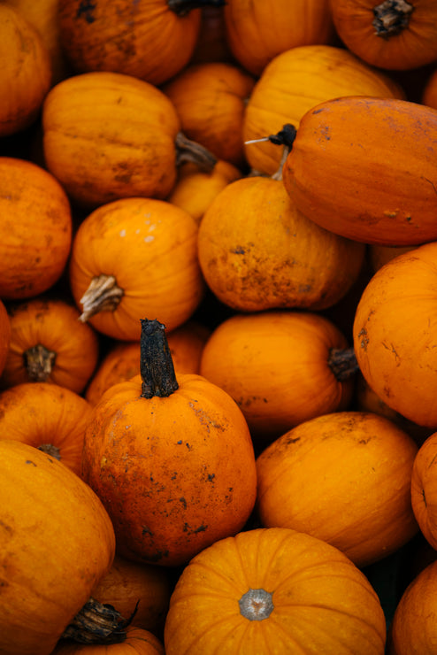 Load image into Gallery viewer, Piles of pumpkins
