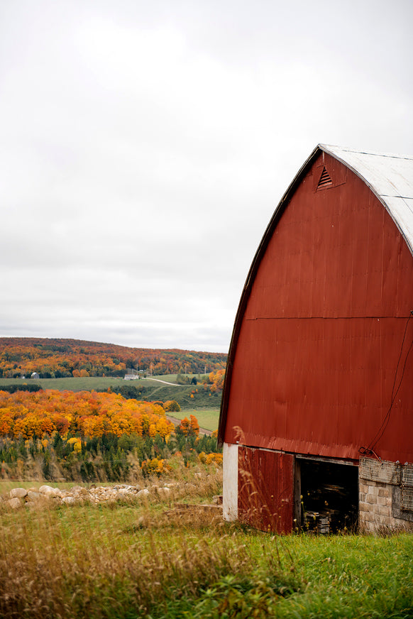 A field with a red barn in the fall