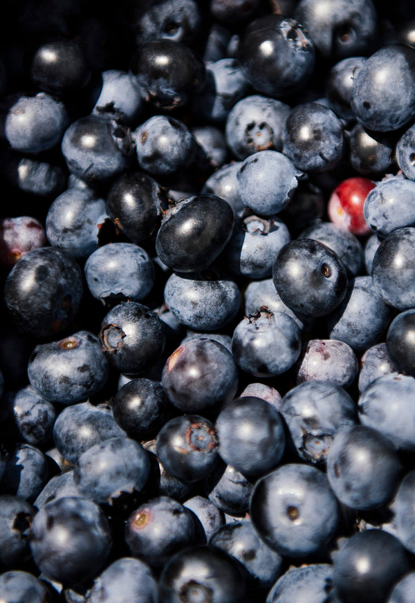 Fresh blueberries